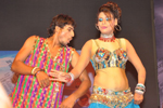 Srimannarayana Audio Release Photos